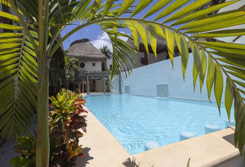 Fotos del hotel Villas Hm Paraiso Del Mar:  6