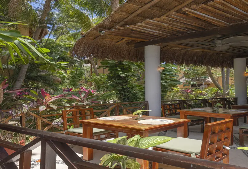 Fotos del hotel Villas Hm Paraiso Del Mar:  27