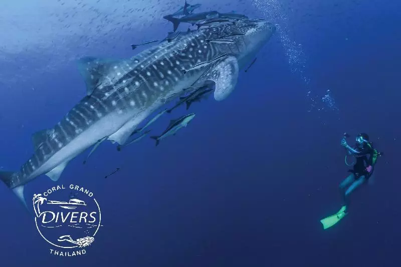 Fotos del hotel Koh Tao Coral Grand Resort:  8