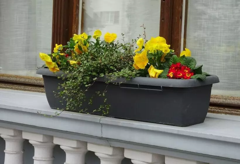 Fotos del hotel Lötschberg:  5