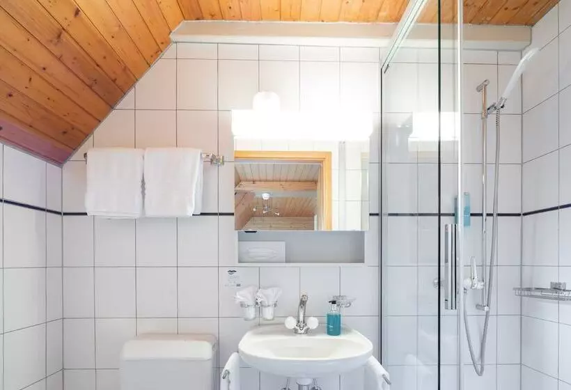 Fotos del hotel Lötschberg:  11