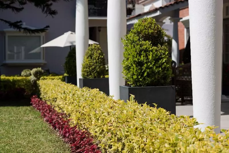 Fotos del hotel Casa Bonita Hotel Boutique & Spa:  18