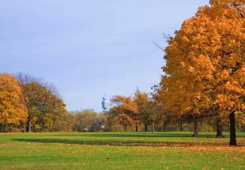 Fotos del hotel London Marriott Hotel Park Lane:  13