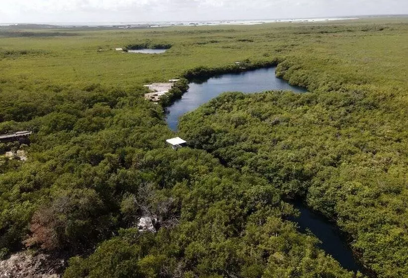 Fotos del hotel Manglex Eco  Tulum:  15