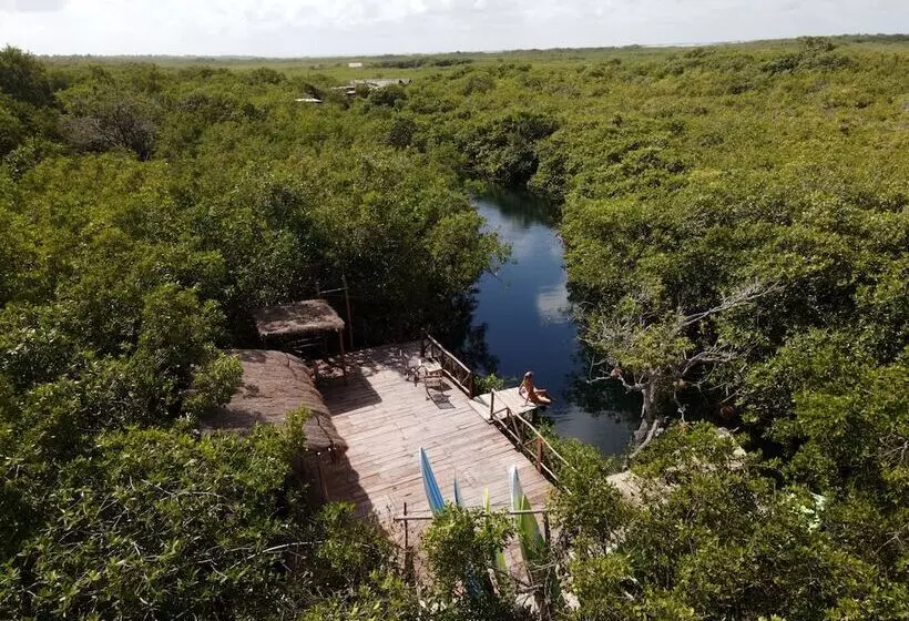 Fotos del hotel Manglex Eco  Tulum:  17
