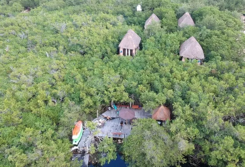 Fotos del hotel Manglex Eco  Tulum:  19