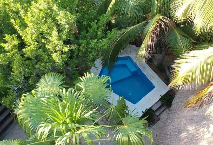 Fotos del hotel Manglex Eco  Tulum:  10
