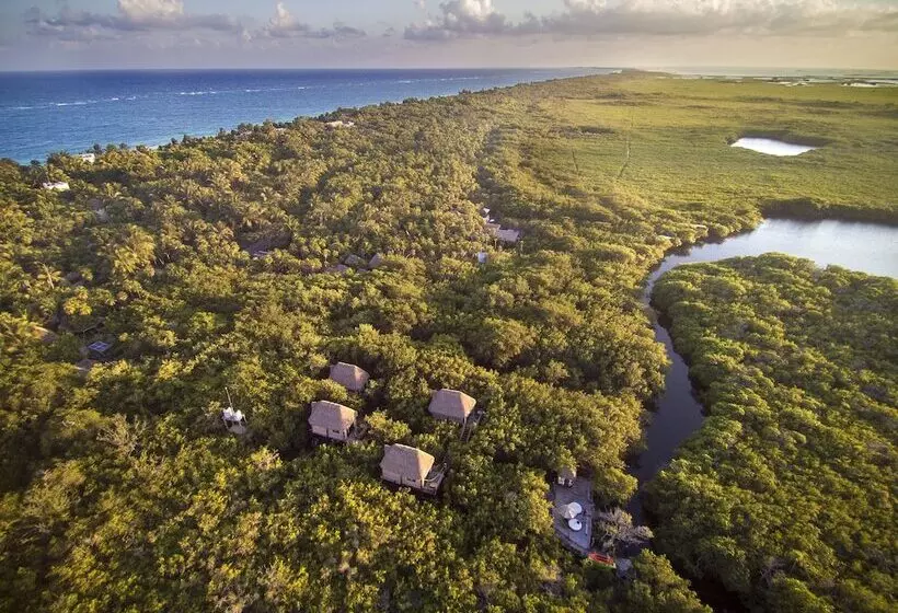 Fotos del hotel Manglex Eco  Tulum:  21