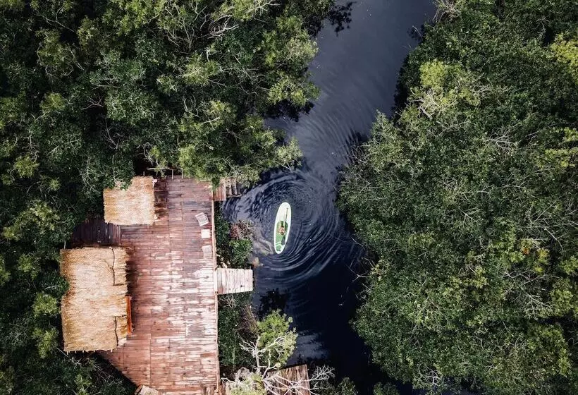 Fotos del hotel Manglex Eco  Tulum:  24