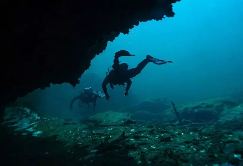 Fotos del hotel Manglex Eco  Tulum:  8