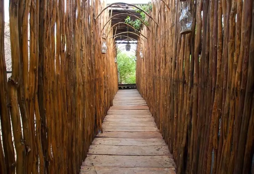 Fotos del hotel Manglex Eco  Tulum:  22