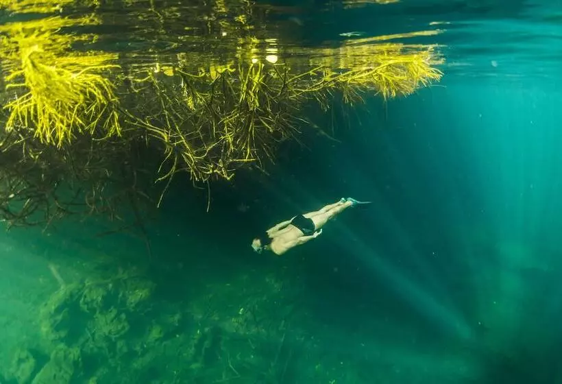 Fotos del hotel Manglex Eco  Tulum:  4