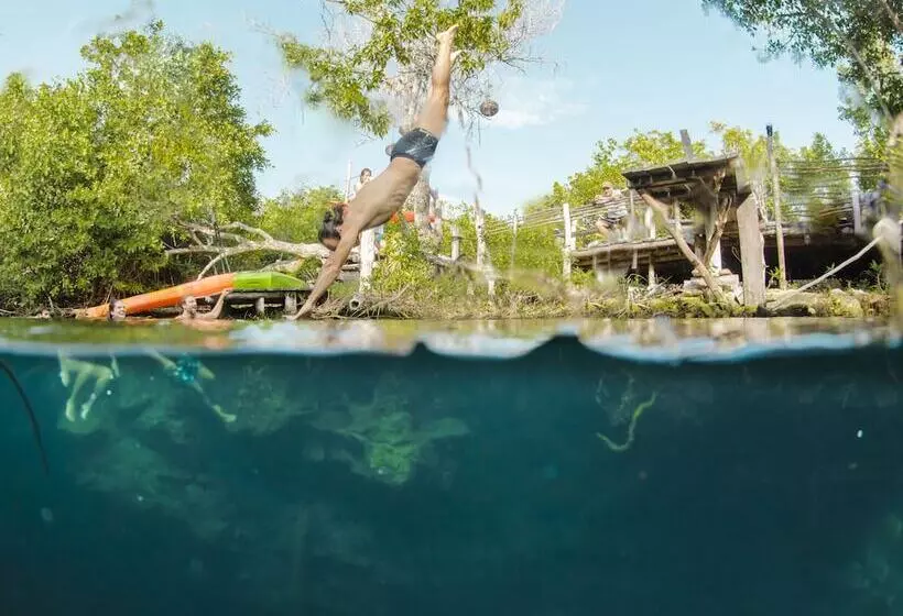 Fotos del hotel Manglex Eco  Tulum:  6
