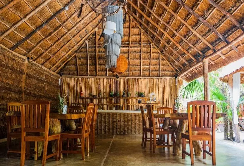 Fotos del hotel Manglex Eco  Tulum:  11