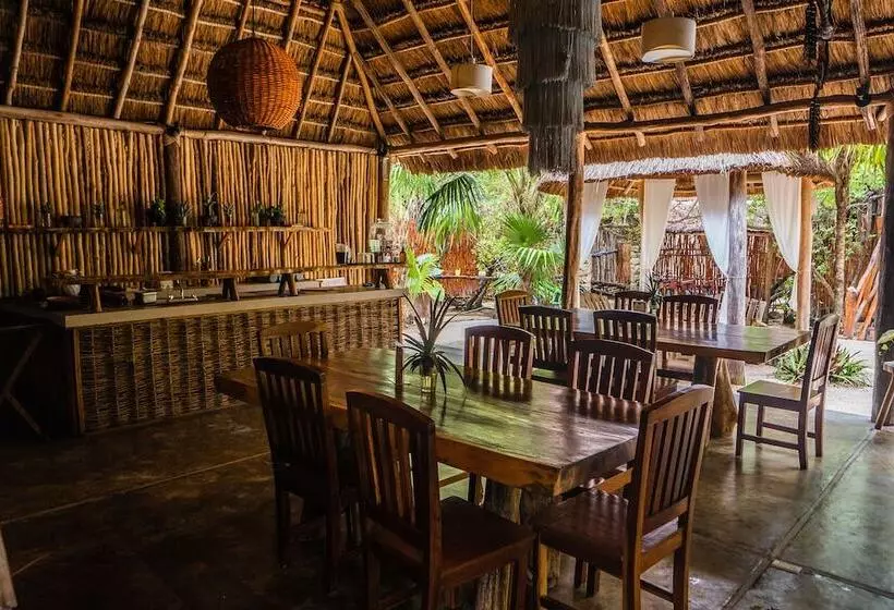 Fotos del hotel Manglex Eco  Tulum:  2