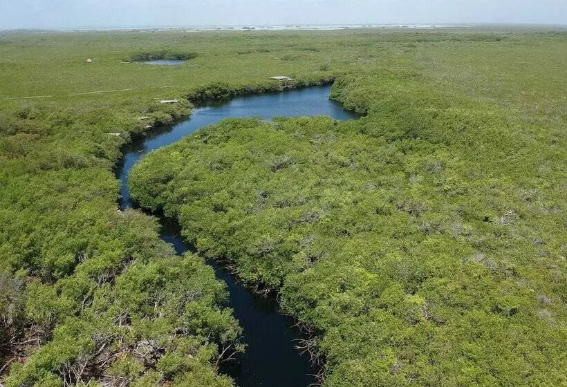 Fotos del hotel Manglex Eco  Tulum:  13
