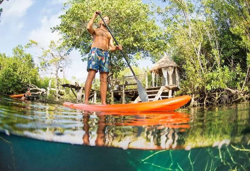 Fotos del hotel Manglex Eco  Tulum:  20