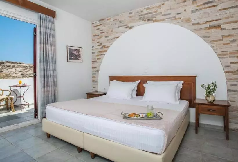 Fotos del hotel Naxos Palace:  12