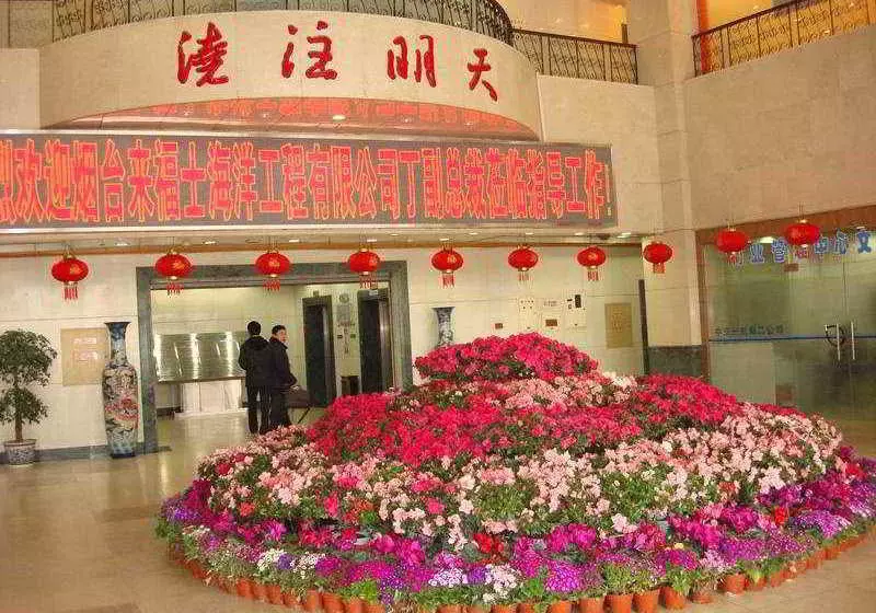 Fotos del hotel Zhonggang Mansion Qingdao:  4