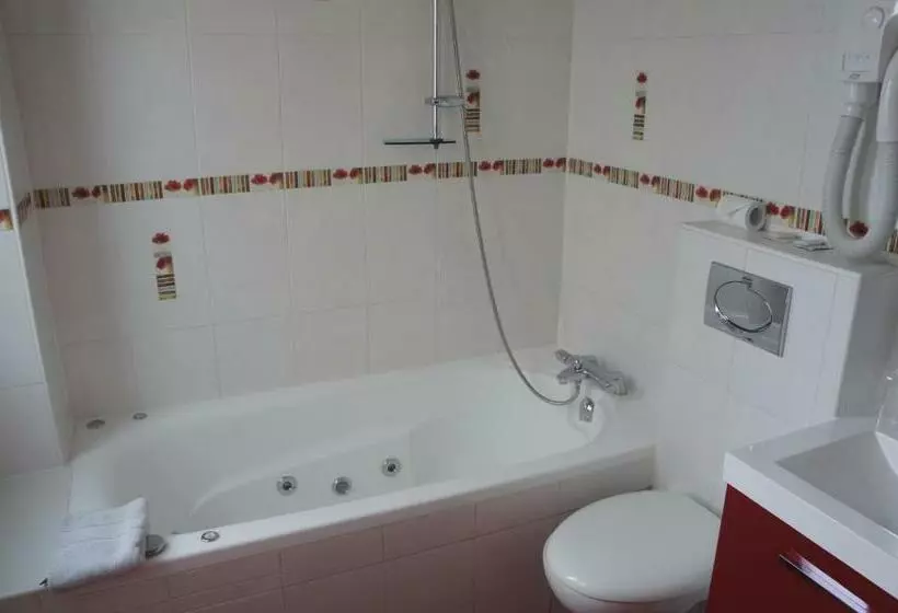 Fotos del hotel Hôtel Les Chansonniers:  10