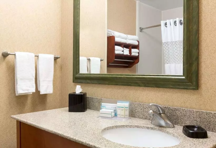 Fotos del hotel Hampton Inn Houston Willowbrook Mall:  7