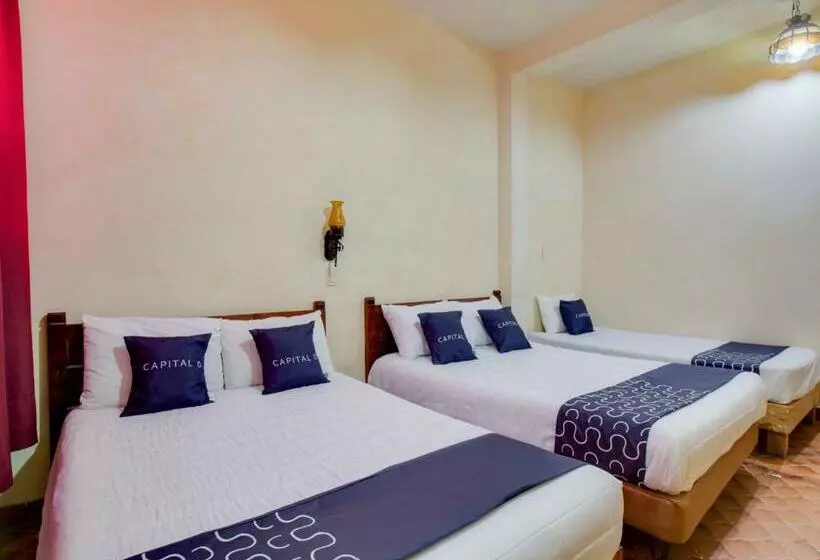 Fotos del hotel Valle De Oaxaca:  6