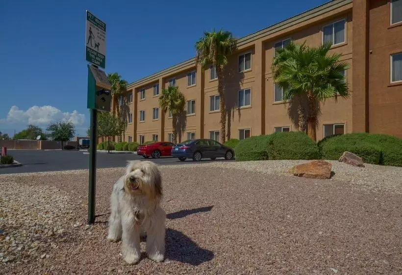 Fotos del hotel Holiday Inn Express Las Vegas-nellis, An Ihg:  19