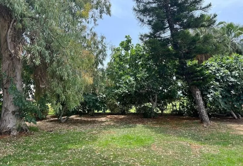 Fotos del hotel Anmaria Beach Hotel:  6