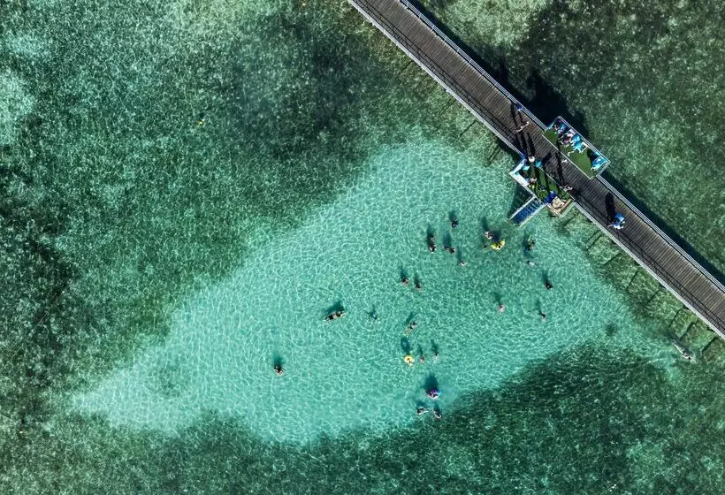 Fotos del hotel Rixos Premium Seagate Sharm El Sheikh:  44