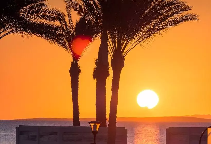 Fotos del hotel Rixos Premium Seagate Sharm El Sheikh:  85