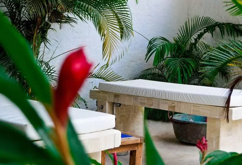 Fotos del hotel Aldea Del Bazar & Spa:  12