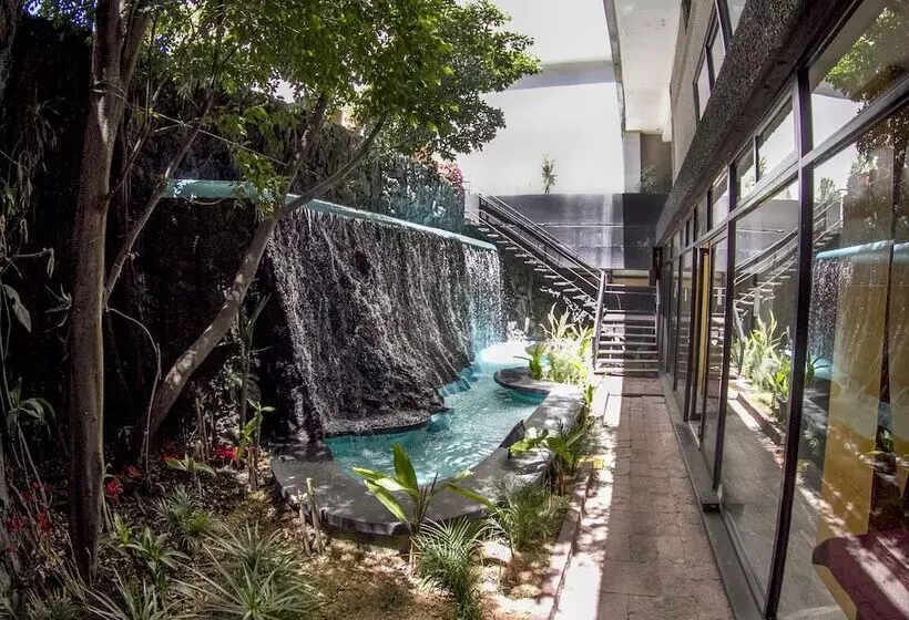 Fotos del hotel El Diplomatico:  2