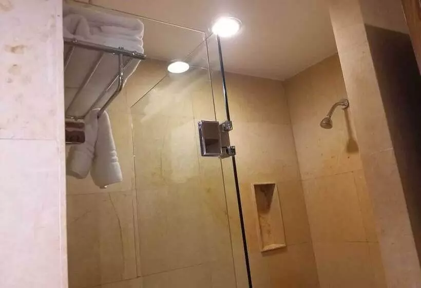 Fotos del hotel El Diplomatico:  16