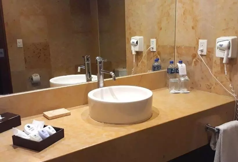 Fotos del hotel El Diplomatico:  12