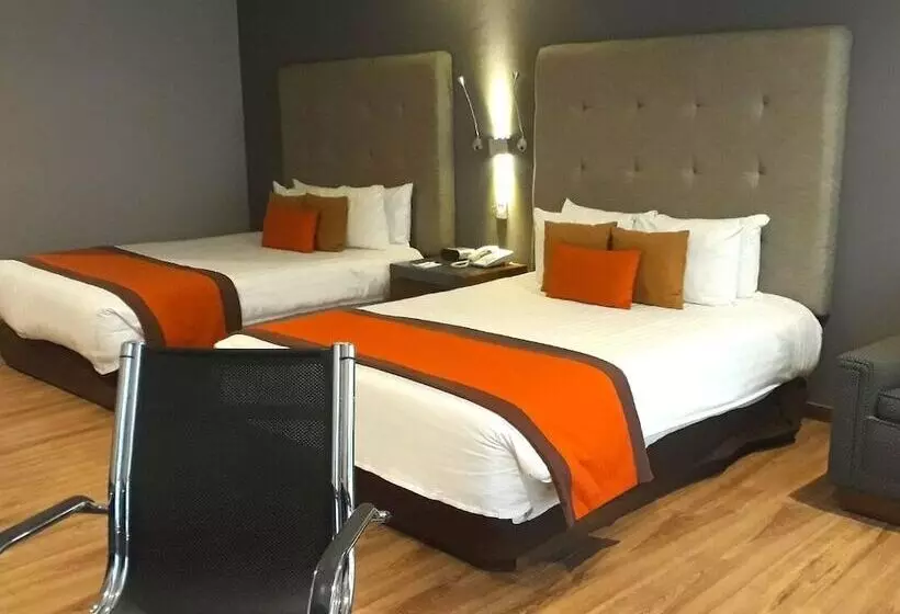 Fotos del hotel El Diplomatico:  15