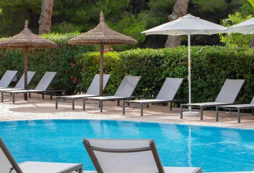 Fotos del hotel Hm Mar Blau:  29