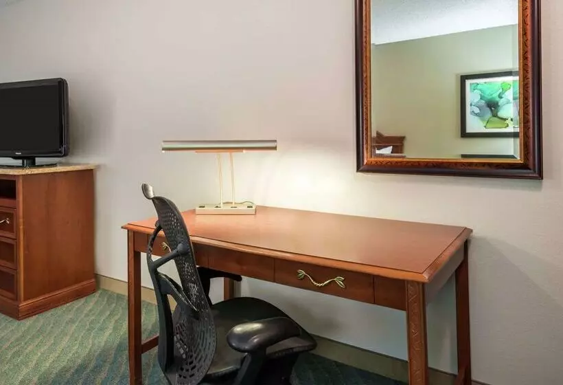 Fotos del hotel Hilton Garden Inn Orlando International Drive North:  24