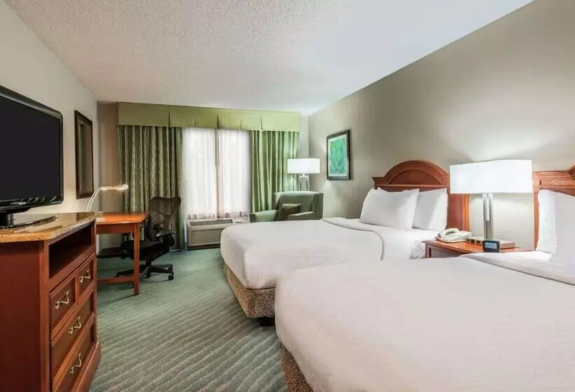 Fotos del hotel Hilton Garden Inn Orlando International Drive North:  23