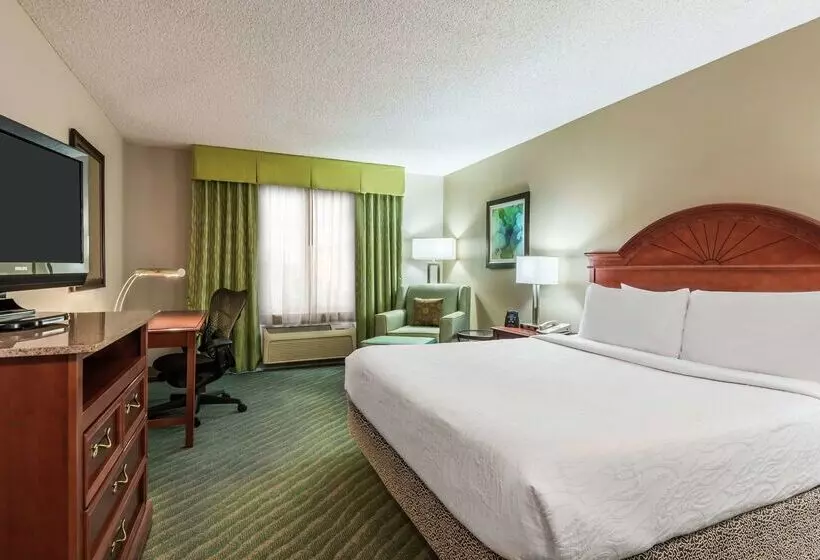 Fotos del hotel Hilton Garden Inn Orlando International Drive North:  19