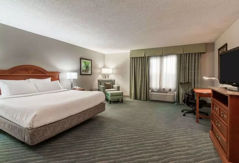 Fotos del hotel Hilton Garden Inn Orlando International Drive North:  5
