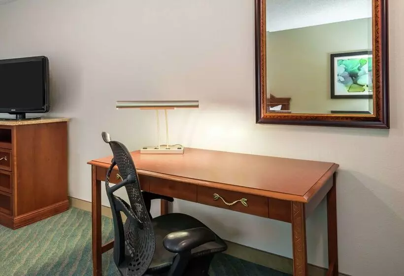 Fotos del hotel Hilton Garden Inn Orlando International Drive North:  25