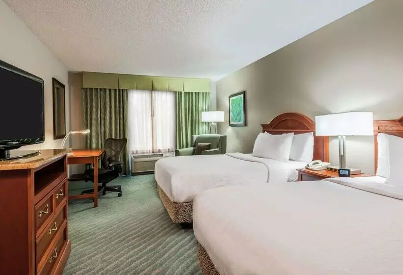 Fotos del hotel Hilton Garden Inn Orlando International Drive North:  22