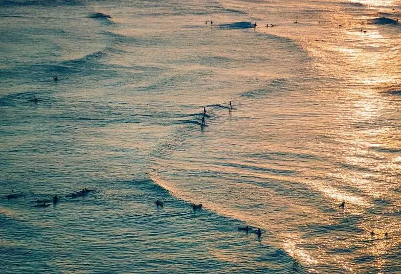 Fotos del hotel Waikiki Beach Marriott Resort & Spa:  9