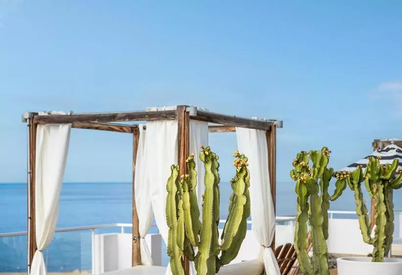 Fotos del hotel Marina Bayview Gran Canaria  Adults Only:  41