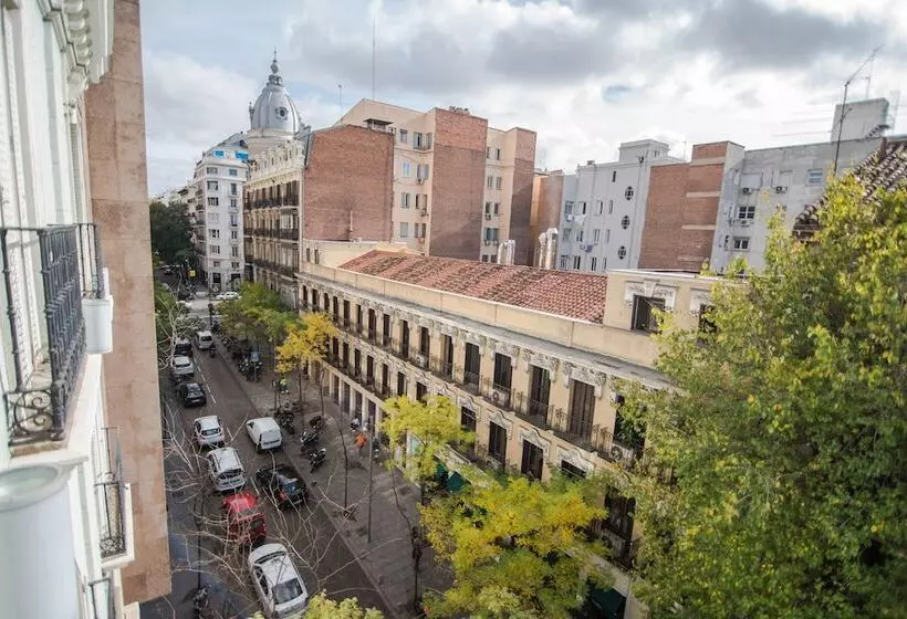 Fotos del hotel Icon Wipton By Petit Palace:  9