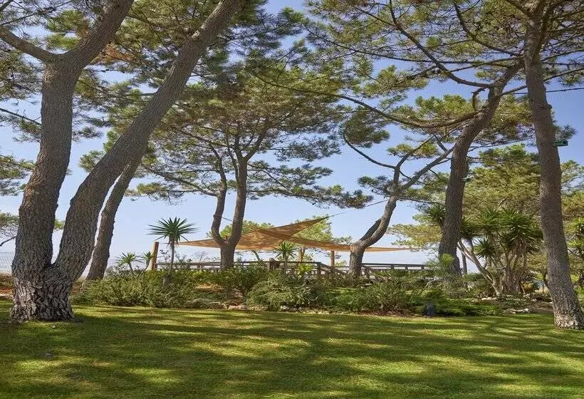 Fotos del hotel Tui Blue Falesia  Adults Only:  6