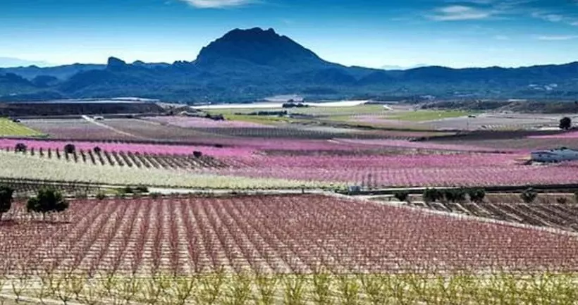 Fotos del hotel Hyltor:  10