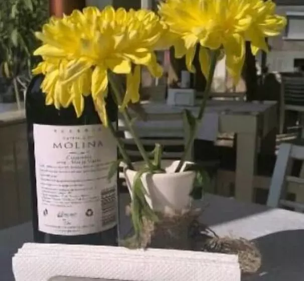 Fotos del hotel Hotel Luxor:  6