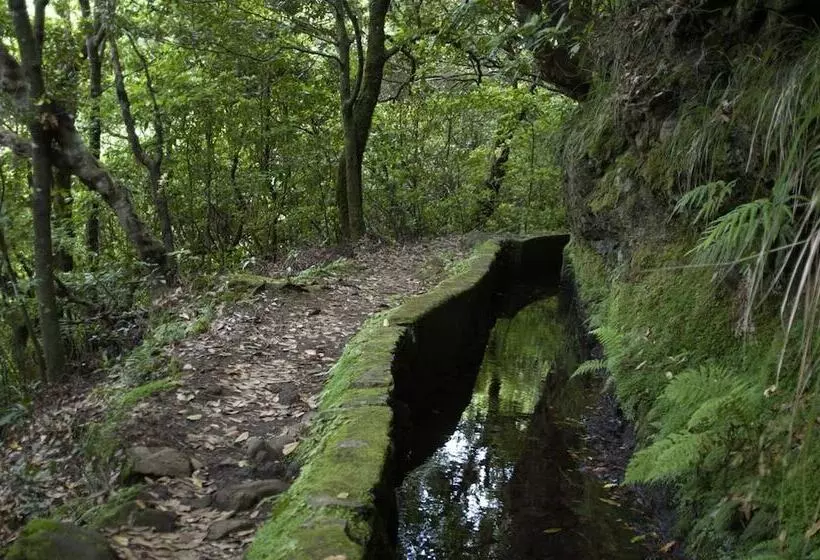 Fotos del hotel Madeira Bright Star By Petit Hotels:  8