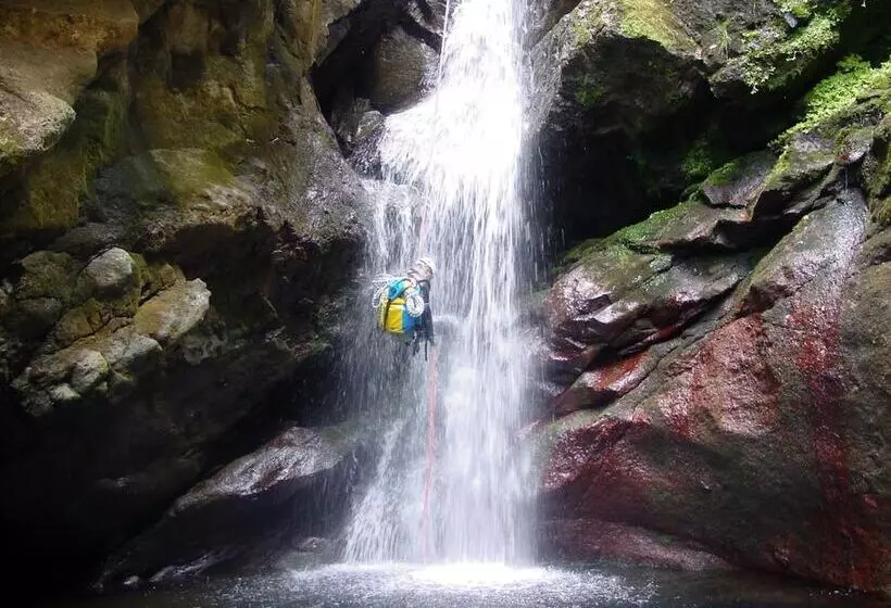 Fotos del hotel Madeira Bright Star By Petit Hotels:  16